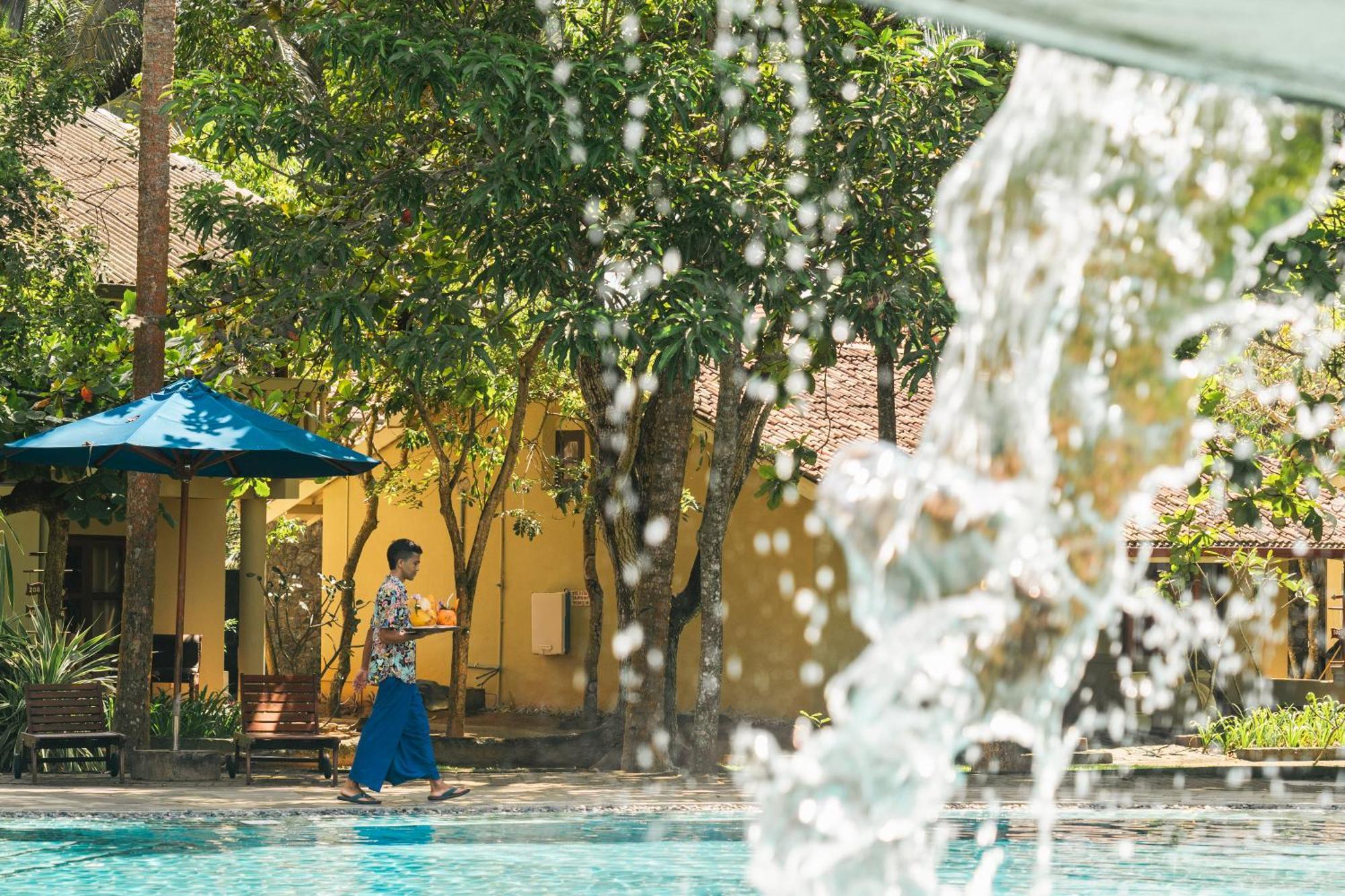 Siddhalepa Ayurveda Resort - All Meals, Ayurveda Treatment And Yoga Wadduwa Zewnętrze zdjęcie