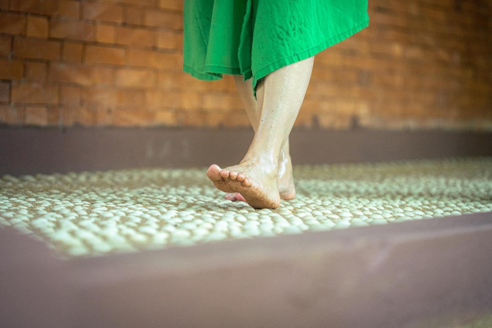 Siddhalepa Ayurveda Resort - All Meals, Ayurveda Treatment And Yoga Wadduwa Zewnętrze zdjęcie