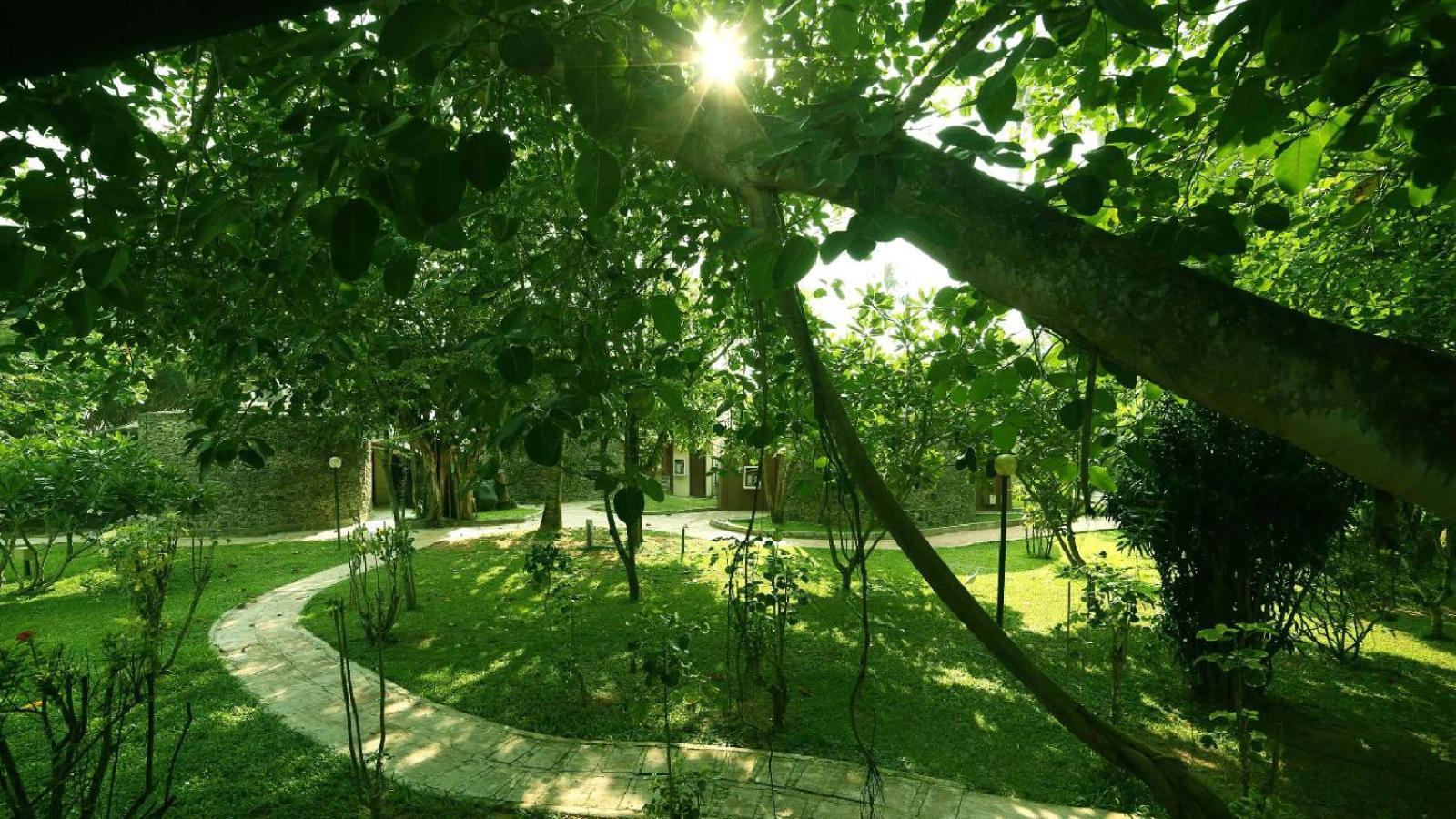 Siddhalepa Ayurveda Resort - All Meals, Ayurveda Treatment And Yoga Wadduwa Zewnętrze zdjęcie