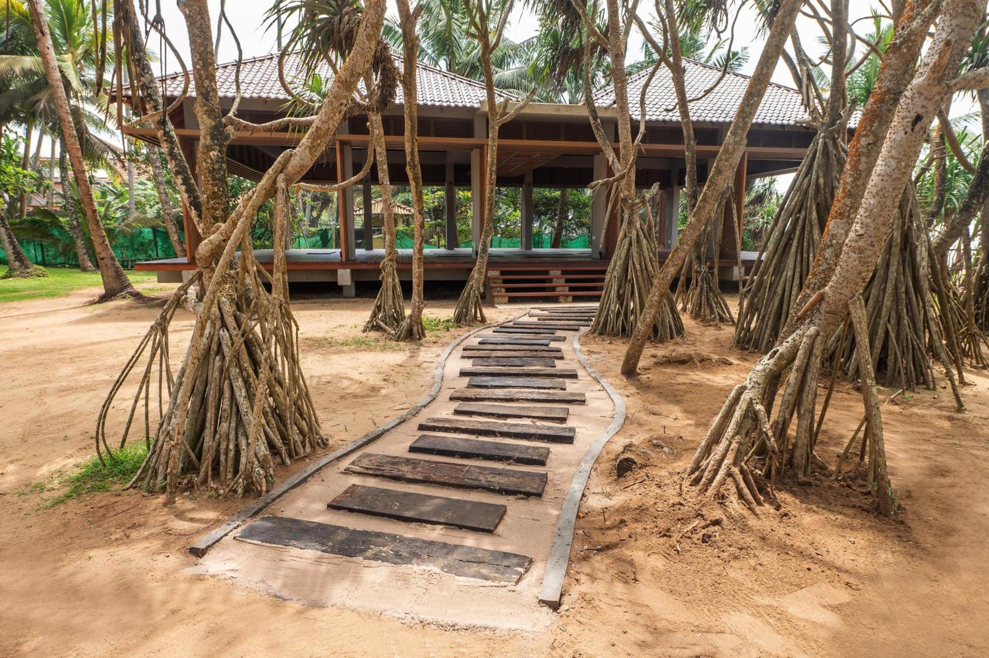 Siddhalepa Ayurveda Resort - All Meals, Ayurveda Treatment And Yoga Wadduwa Zewnętrze zdjęcie