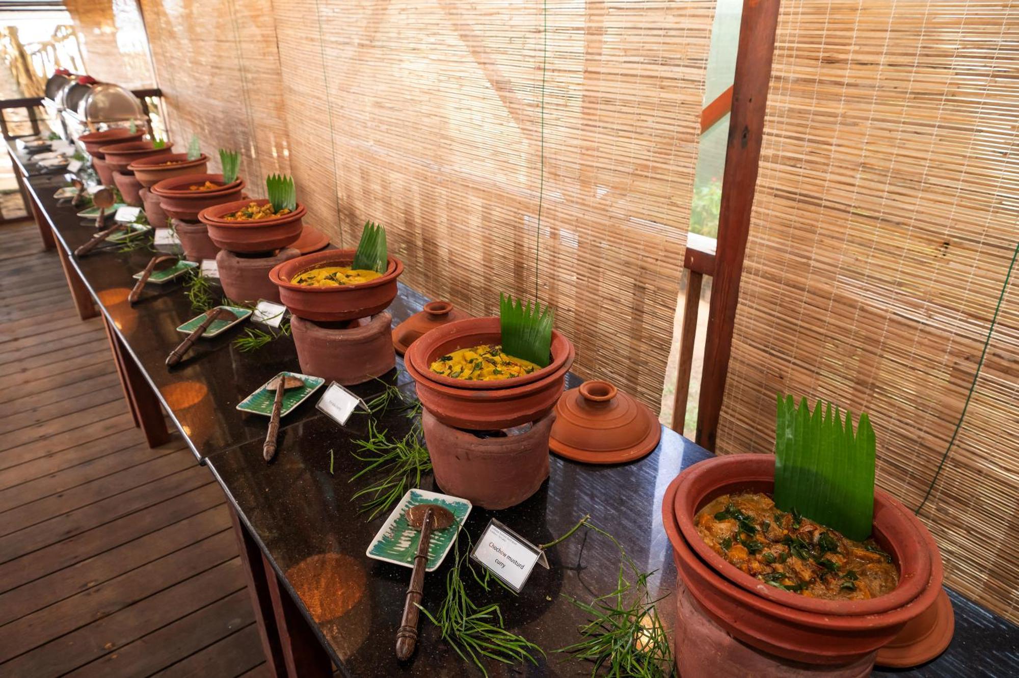 Siddhalepa Ayurveda Resort - All Meals, Ayurveda Treatment And Yoga Wadduwa Zewnętrze zdjęcie